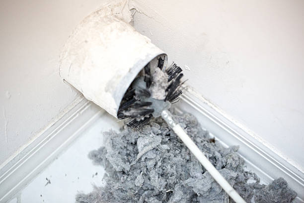 Air Duct Mold Removal in Eagle Point, OR